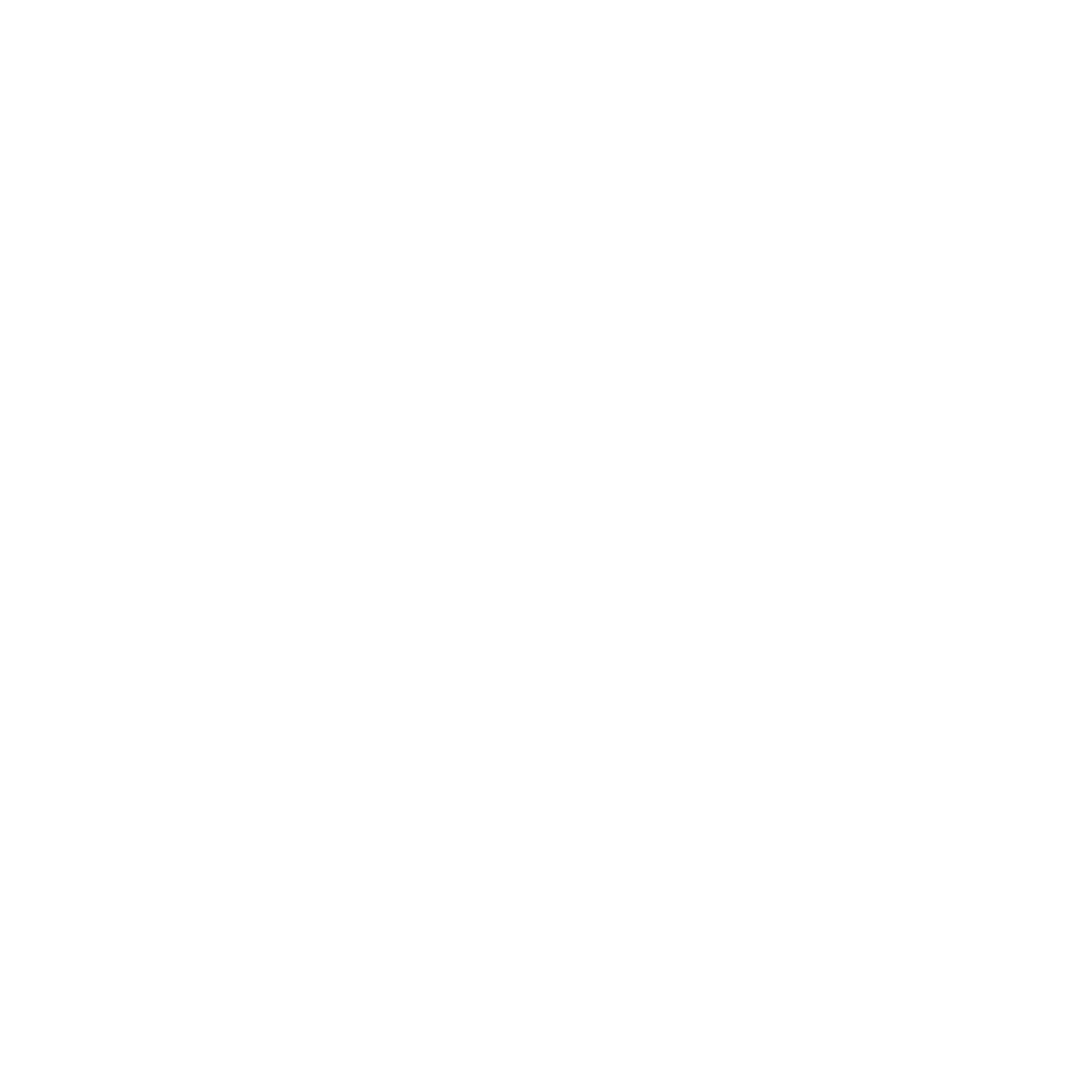Professional Notary Services
